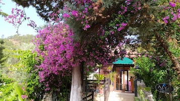 Entrada de la propiedad