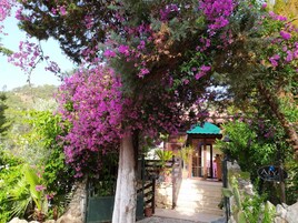 Entrada da propriedade