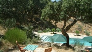 A patio with two wooden chairs and a table, a tree, and a pool with a green cover. - Really special holiday barn  in beautiful sierra scenery with great pool  (Caceres)