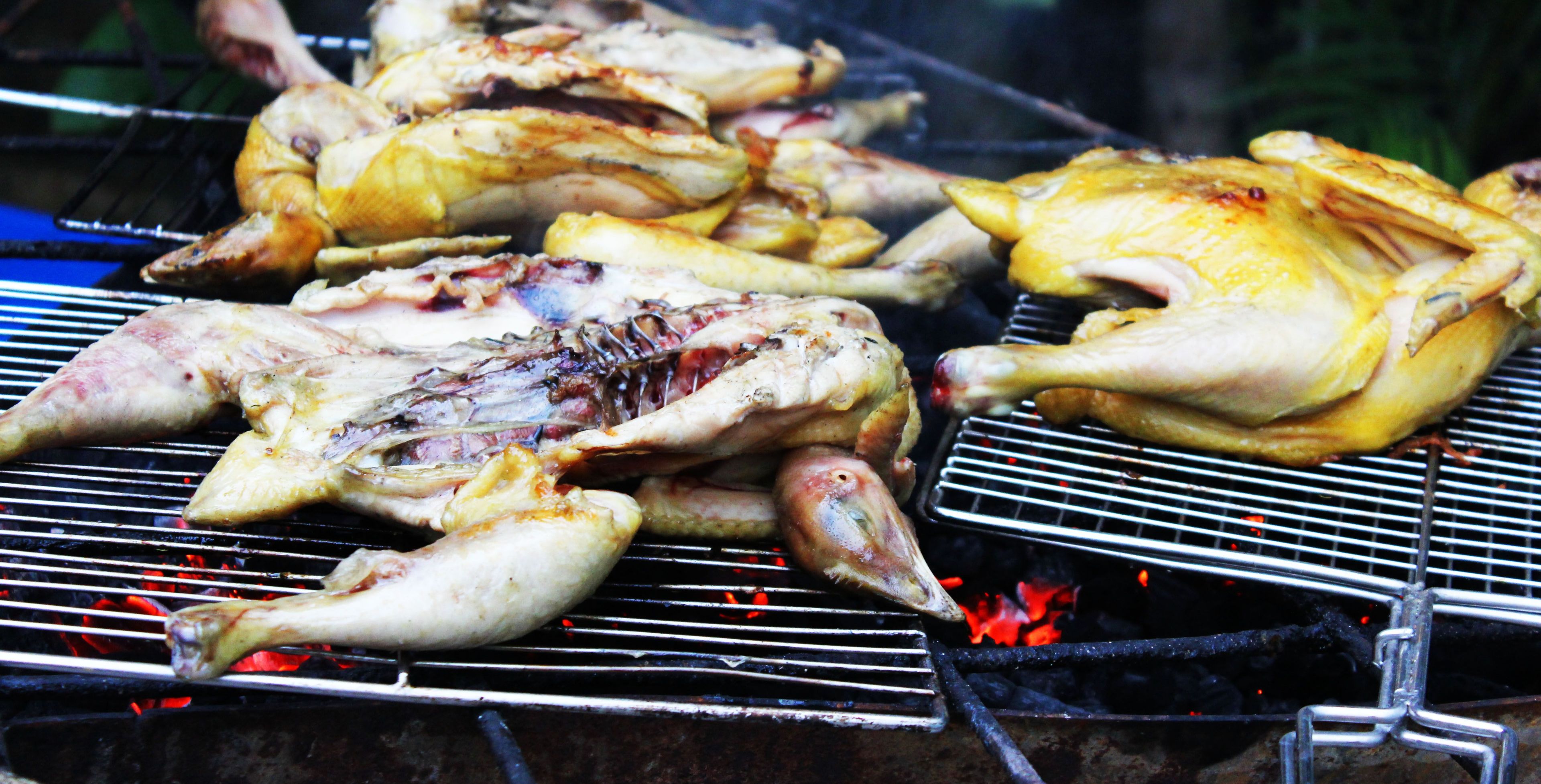 Una griglia con diversi tipi di carne in cottura.