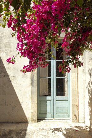 Exterior detail - WP RELAIS VILLA FIOR DI ZAGARA (Diso)