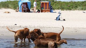 Beach - Log cabin - Ferienhof Schmeling (Ahneby)