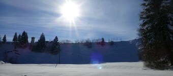 Leilighet - Haus vinkel