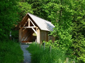 Immagine non classificata, 5 di 36, pulsante