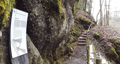 Haus Winkel - Ferienwohnung