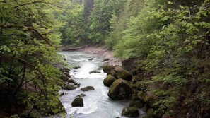 Luokittelematon kuva, 2 kautta 36, painike