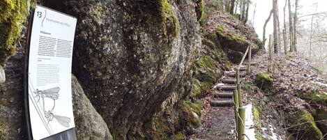 Terrain de lâhĂ©bergement
