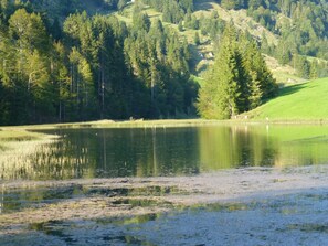 Luokittelematon kuva, 4 kautta 36, painike