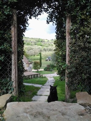 Courtyard - Agriturismo Casa Fibbianello (Semproniano)