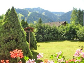 Terrain de l’hébergement 