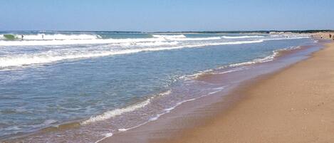 Playa en los alrededores