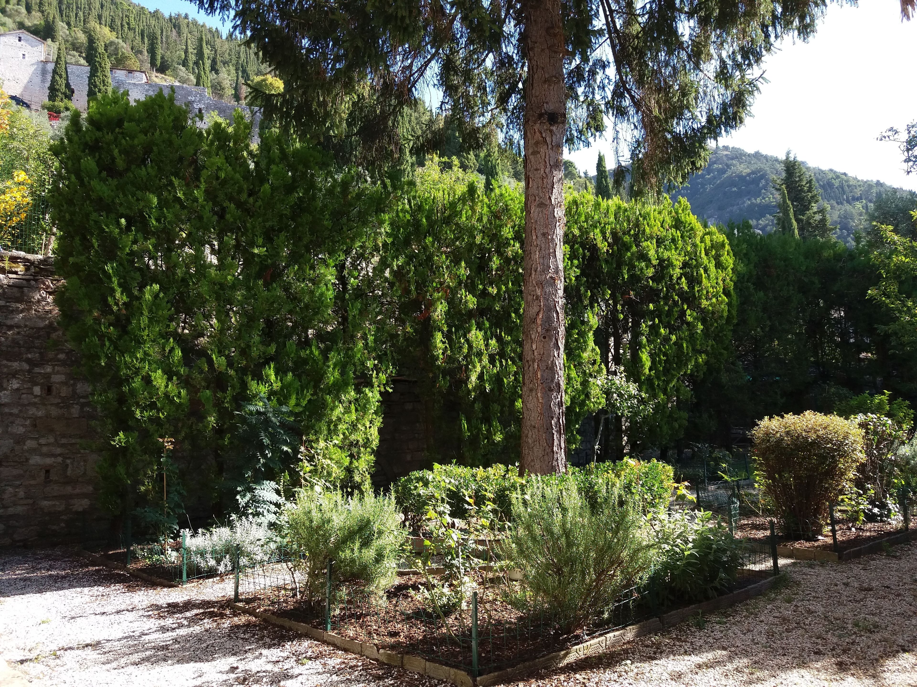 Un jardin agrémenté de diverses plantes et arbres, un mur de pierre et, en arrière-plan, une vue sur un paysage montagneux.
