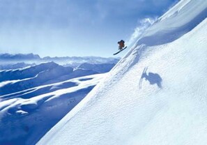 Niet-geclassificeerde afbeelding, 4 van 43, knop