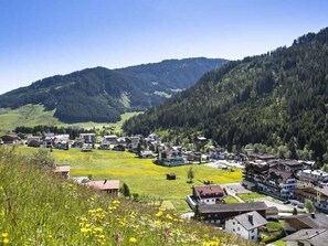 Uklassifisert bilde, 4 av 51, knapp