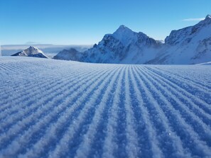 Imagem sem classificação, 4 de 24, botão