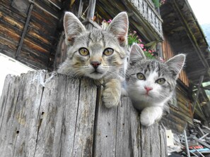 صورة غير مصنفة، 5 من 20، زرّ