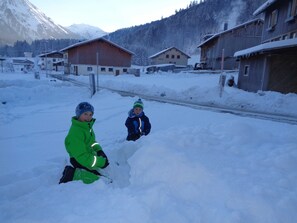 Sne- og skisport