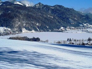 Unclassified image, 3 of 18, button