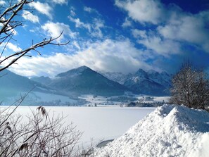 Un paisaje nevado con montañas, un lago y un árbol cubierto de nieve.