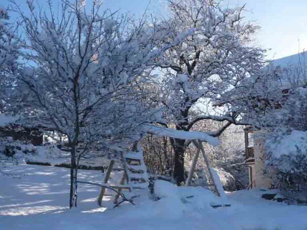 Un espace extérieur enneigé, avec des arbres et une structure en bois.