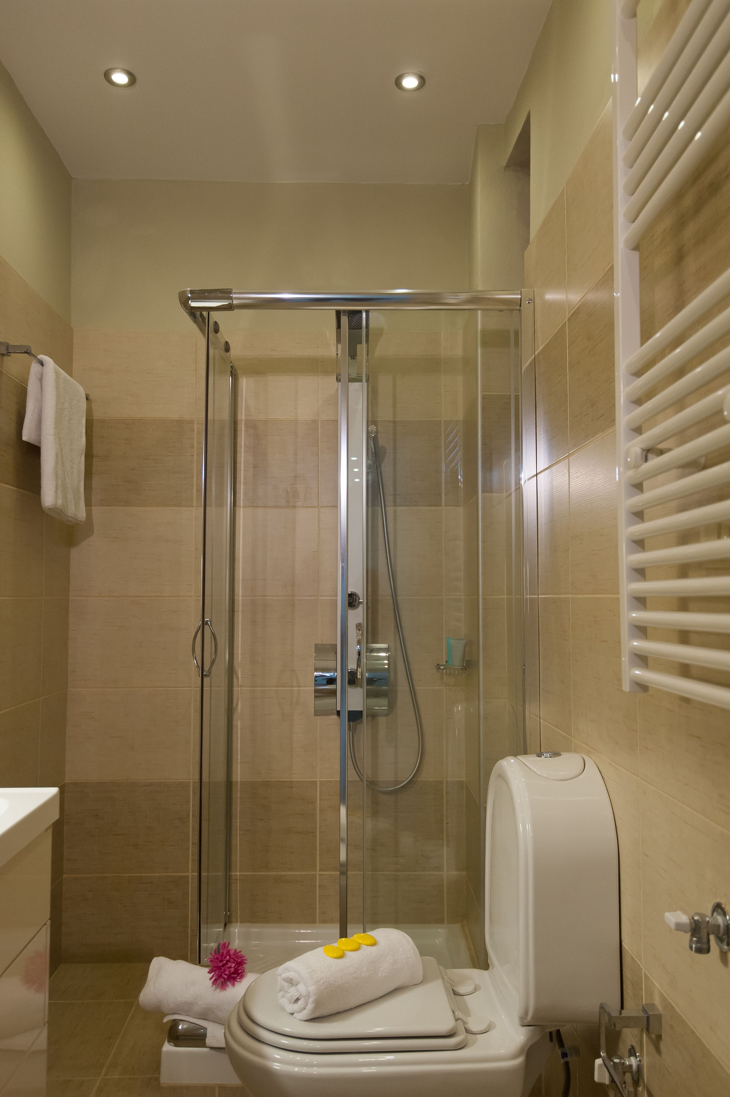 A modern bathroom with a glass-enclosed shower, a toilet, and a towel rack.