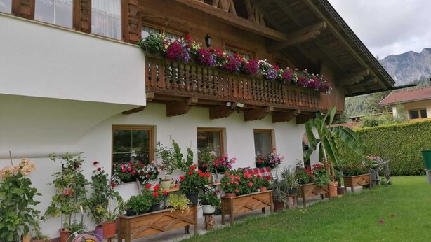 Una xalet tradicional amb balcons de fusta, plantes en testos i un paisatge de muntanya de fons.