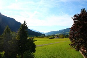 Unclassified image, 2 of 30, button