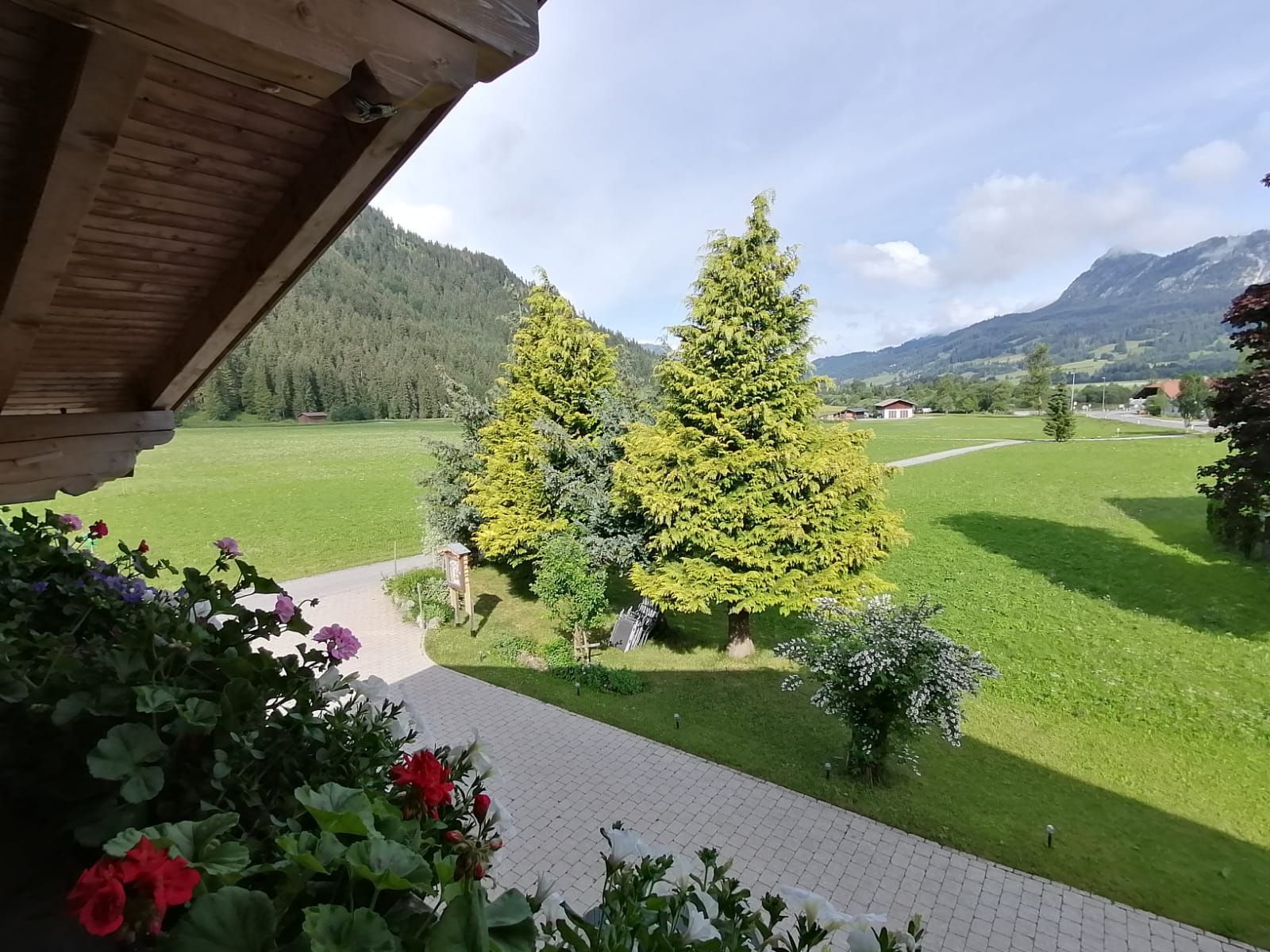 A view from a wooden structure with a paved path leading to a green field and trees.