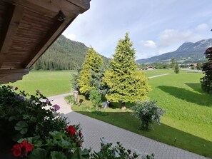 Vista desde una estructura de madera, con un camino empedrado que lleva a un campo verde y árboles.