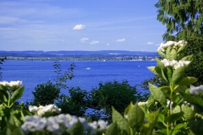 Immagine non classificata, 2 di 24, pulsante