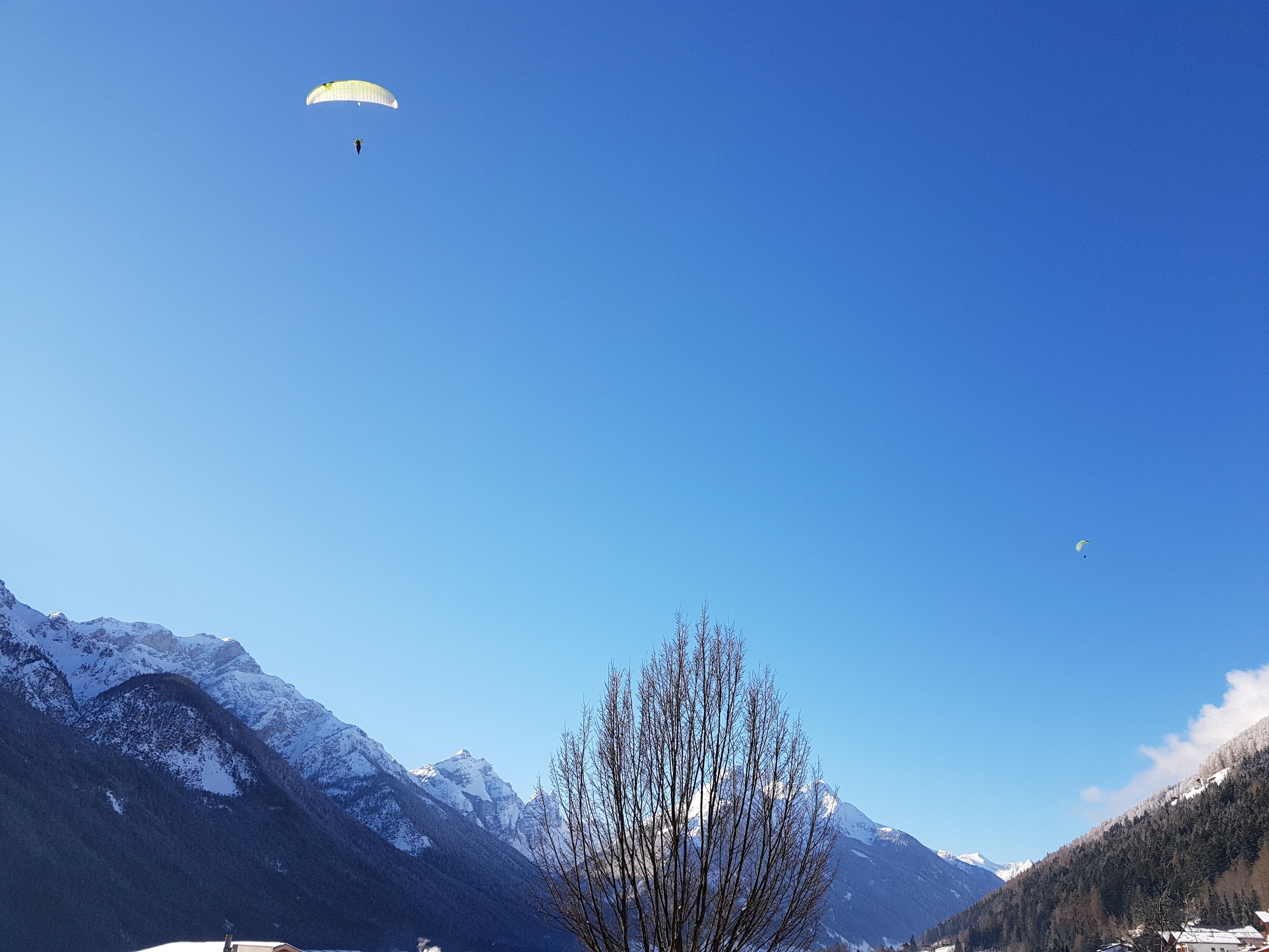 Un paysage montagneux avec un ciel dégagé, un arbre et une personne pratiquant le parapente.