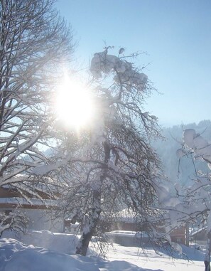 Imagen sin descripción, 5 de 32, botón