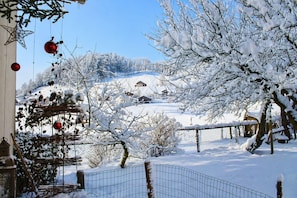 A snow-covered landscape with a wooden fence, a metal fence, and a building in the background. - Hof 280 - Lingenau Vacation Rentals - Annelies Vacation Rental (Lingenau)
