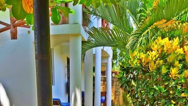 Ein Holztisch, gedeckt für eine Mahlzeit, mit Blick auf einen Pool und üppiges Grün.