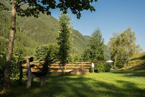 Eine hölzerne Bank in einer grünen Wiese mit Bergblick.