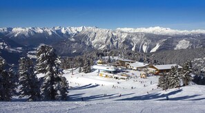 Imagem sem classificação, 3 de 50, botão