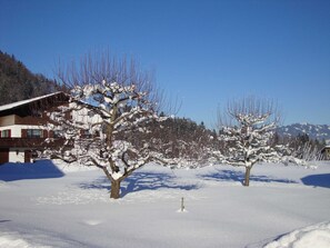 Property grounds - Apart Bär Bersbuch - Holiday apartment Niedereblick (Andelsbuch)