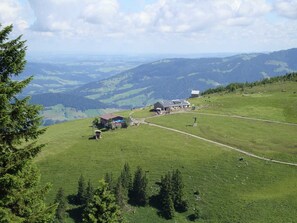 Niet-geclassificeerde afbeelding, 3 van 36, knop