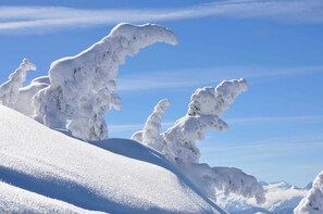Paisaje nevado bajo cielos despejados.