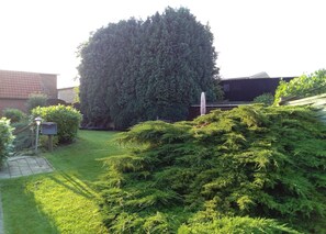 Unclassified image, 5 of 42, button