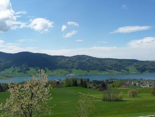 Imagen sin descripción, 1 de 30, botón