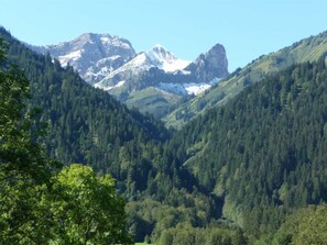 Unclassified image, 3 of 28, button - Apartment 2 - Beer Edith - Apartments Beer (Schoppernau)