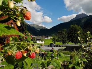 Image sans description, 5 de 28, bouton