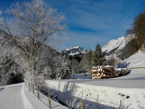 Unclassified image, 3 of 28, button - Apartment 2 - Beer Edith - Apartments Beer (Schoppernau)