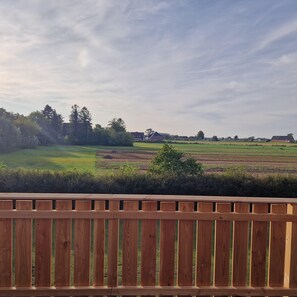 Unclassified image, 4 of 43, button