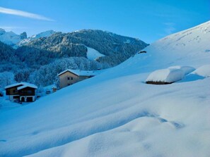 Uklassifisert bilde, 2 av 27, knapp