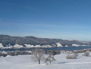 Unclassified image, 3 of 29, button