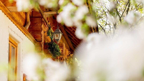 Un bâtiment rustique en bois, orné d’une lanterne suspendue et de plantes grimpantes.