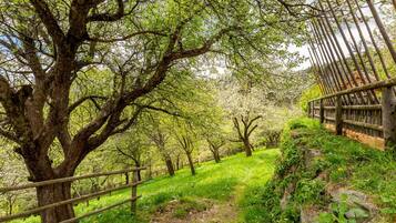 Enceinte de lâhĂ©bergement
