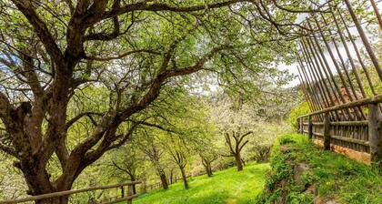 Jagahaus - Kronaushof